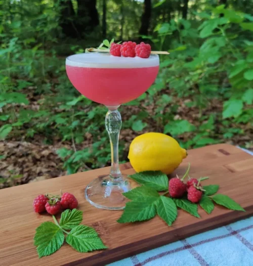 Wild Clover Club