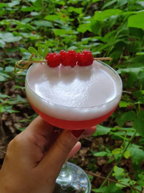 Wild Clover Club