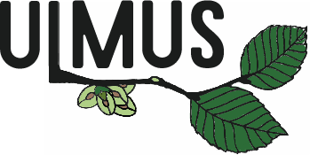 Ulmus logo