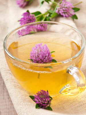 Red Clover Warm Saft