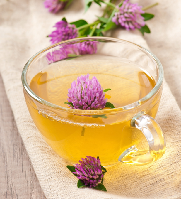 Red Clover Warm Saft