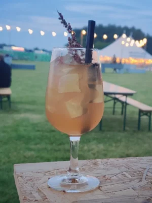 IMG_20240616_122100_461